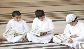فصل B6 صغار سن زوم (ذكور)