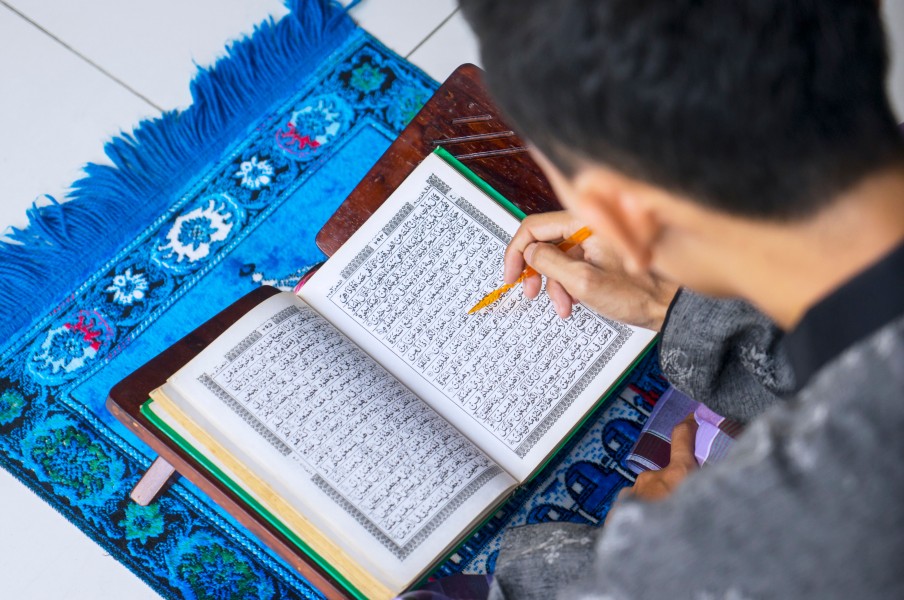 فصل B11 صغار سن تيليجرام (ذكور)